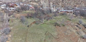 Sivas'ın Koyulhisar ilçesinde heyelan meydana gelen alanda inceleme başlatıldı