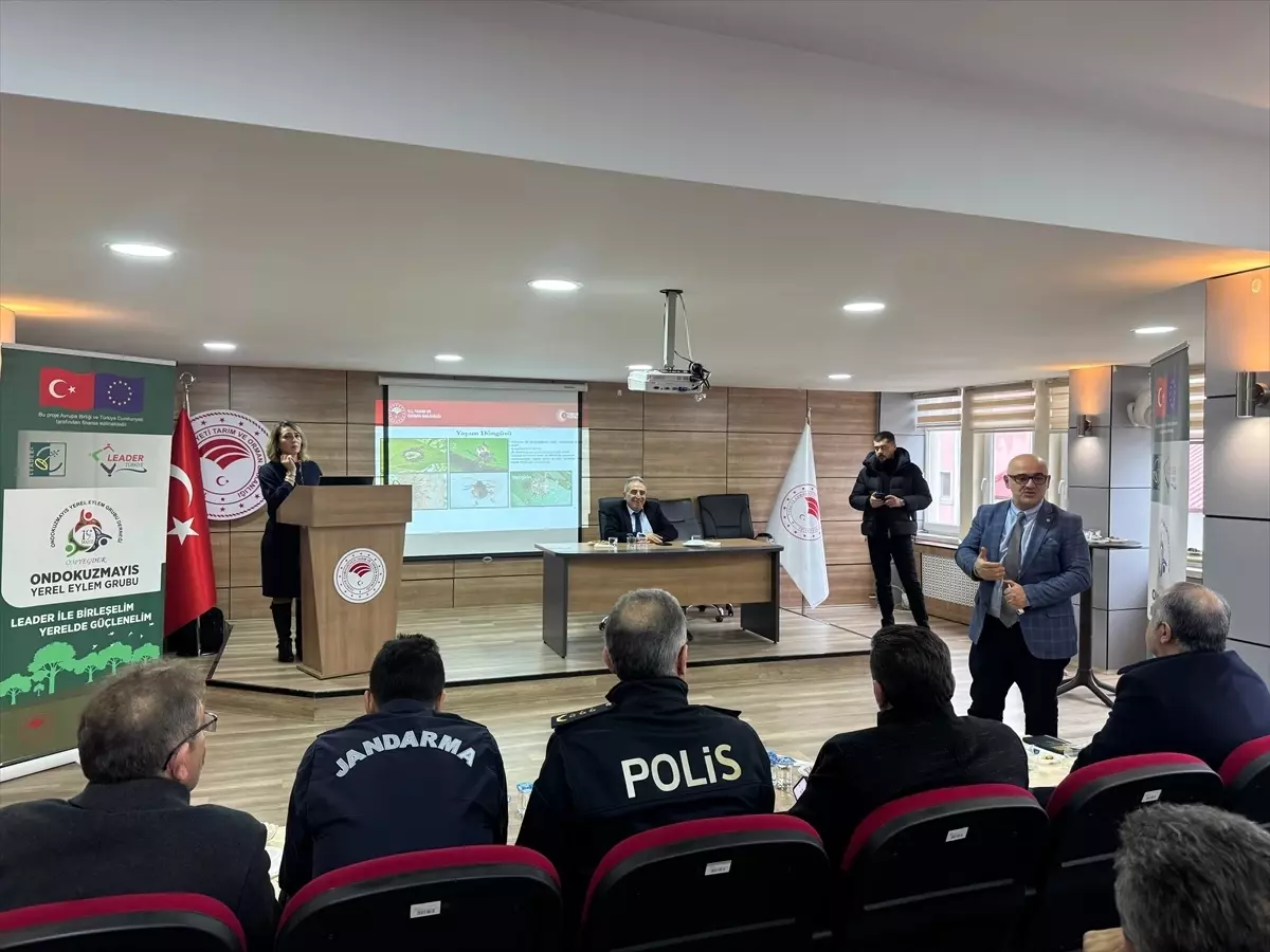 19 Mayıs ilçesinde kahverengi kokarca zararlısı ile mücadele çalışmaları sürüyor