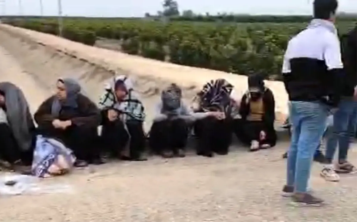 Adana'da trafik kazası: 1'i ağır 7 tarım işçisi yaralandı