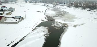 Ağrı'da nehir ve dereler buzla kaplandı