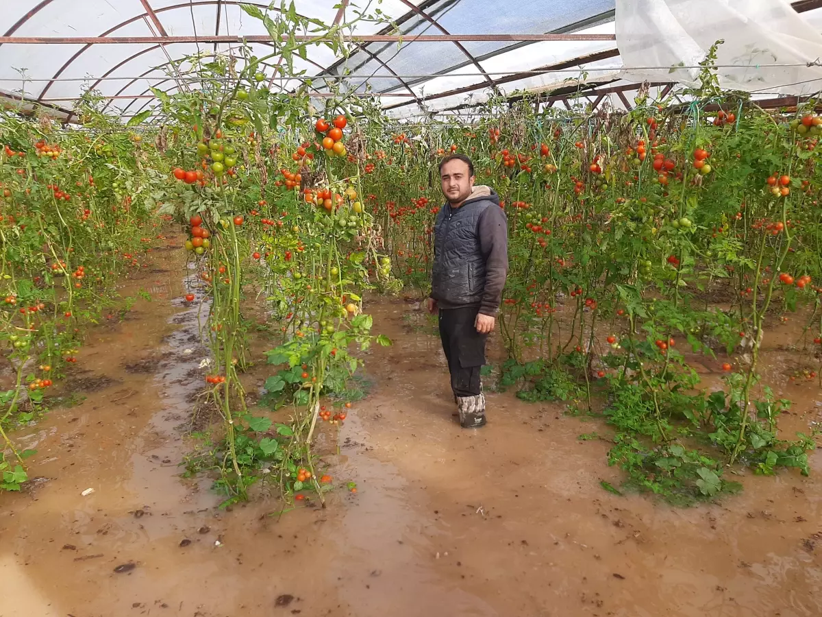 Antalya'da Hortum ve Sağanak Yağmur Seraları ve Bahçeleri Vurdu