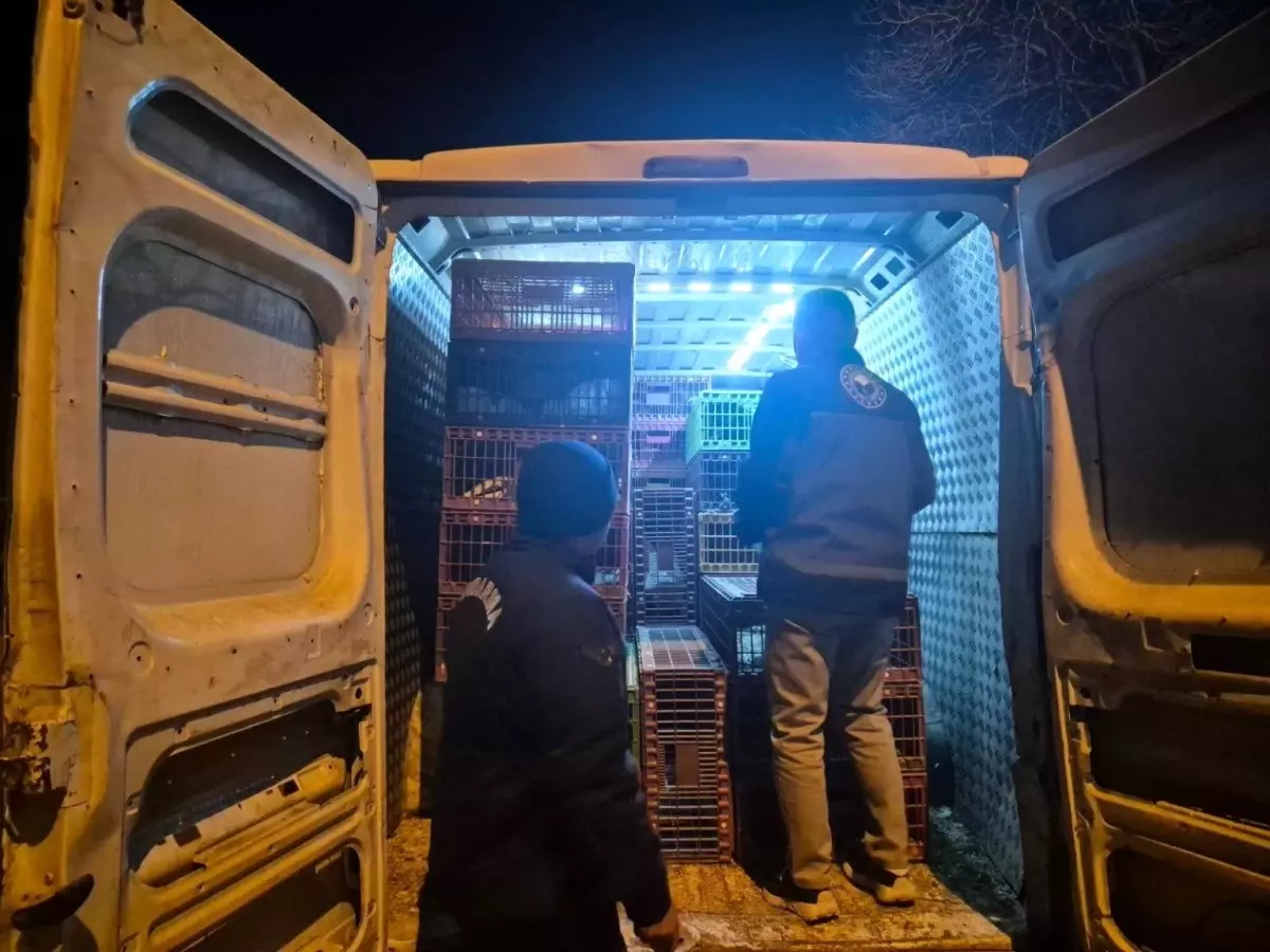 Bilecik'te belgesiz hayvan sevkine 52 bin 720 TL ceza