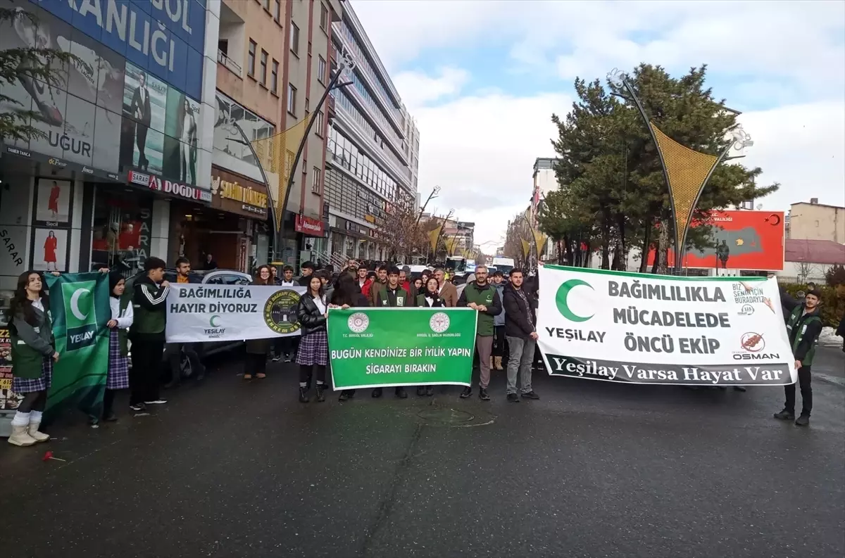 Bingöl'de "Dünya Sigarayı Bırakma Günü" kapsamında yürüyüş düzenlendi