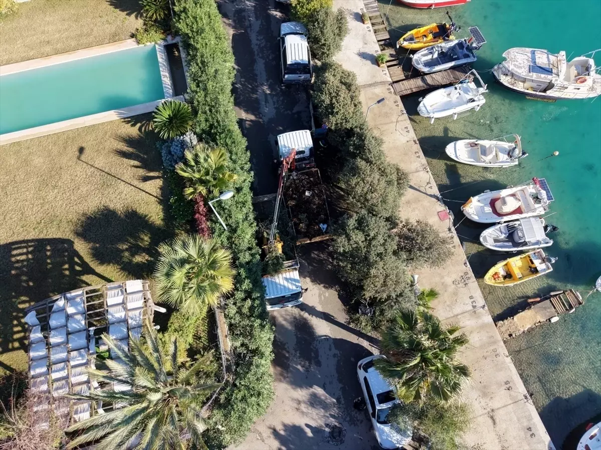 Bodrum'da çevreyi kirletenler tespit edilip cezai işlem uygulanıyor