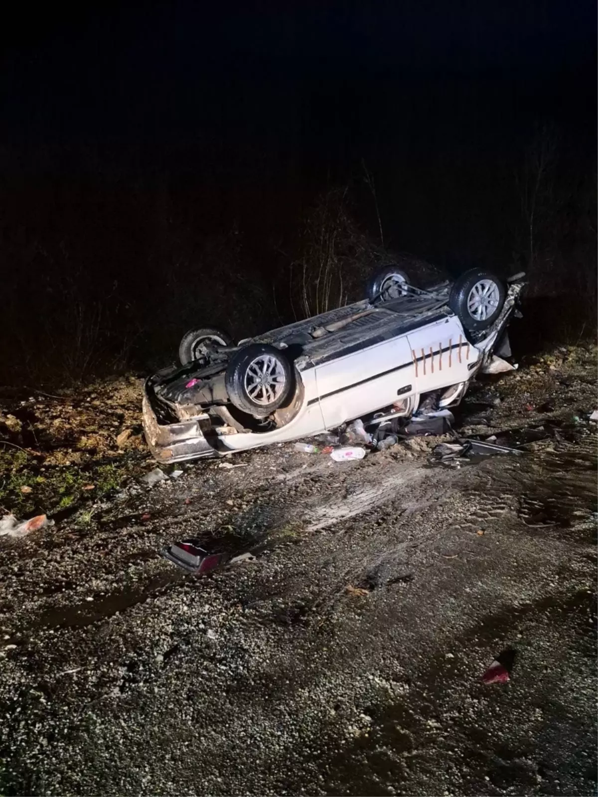 Bursa'da şarampole devrilen otomobilin sürücüsü yaralandı