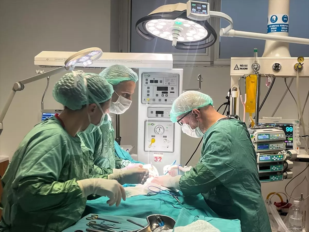 Çanakkale'de kalp rahatsızlığı bulunan prematüre bebek cerrahi müdahaleyle tedavi edildi