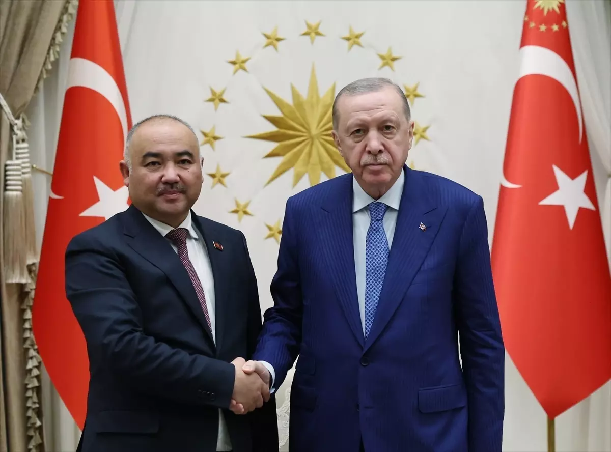 Cumhurbaşkanı Erdoğan, Kırgızistan Meclis Başkanı Turgunbek Uulu'yu kabul etti