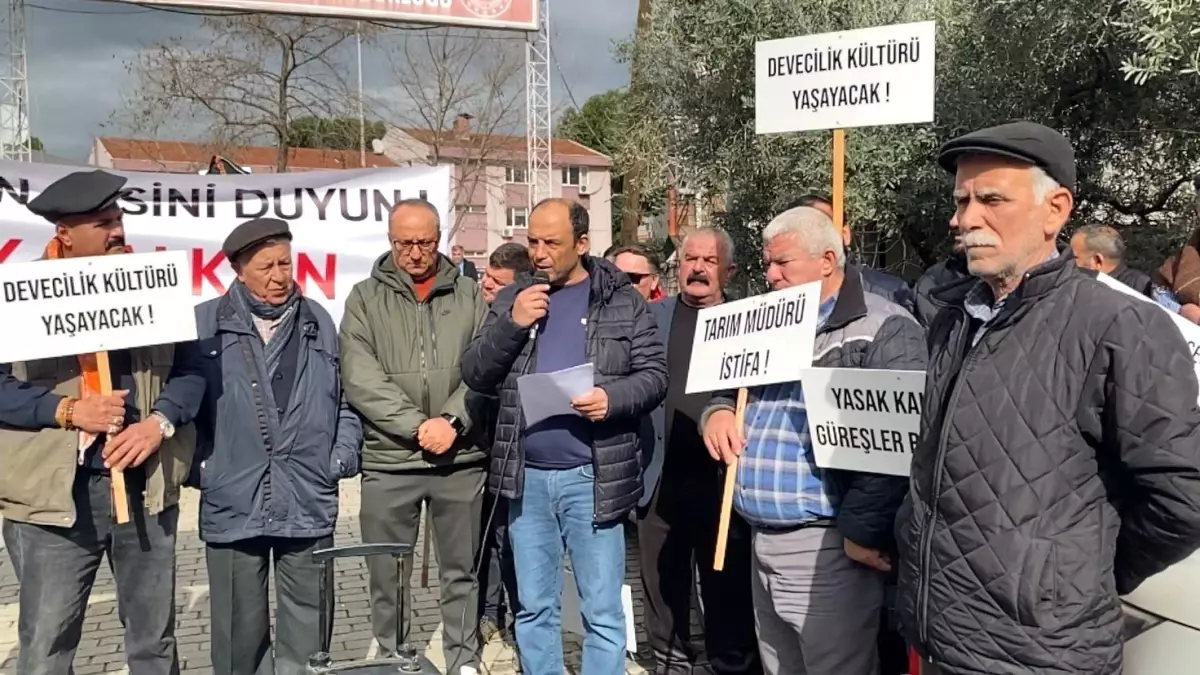 DEGÜF üyeleri deve güreşlerinin yapılmamasını protesto etti