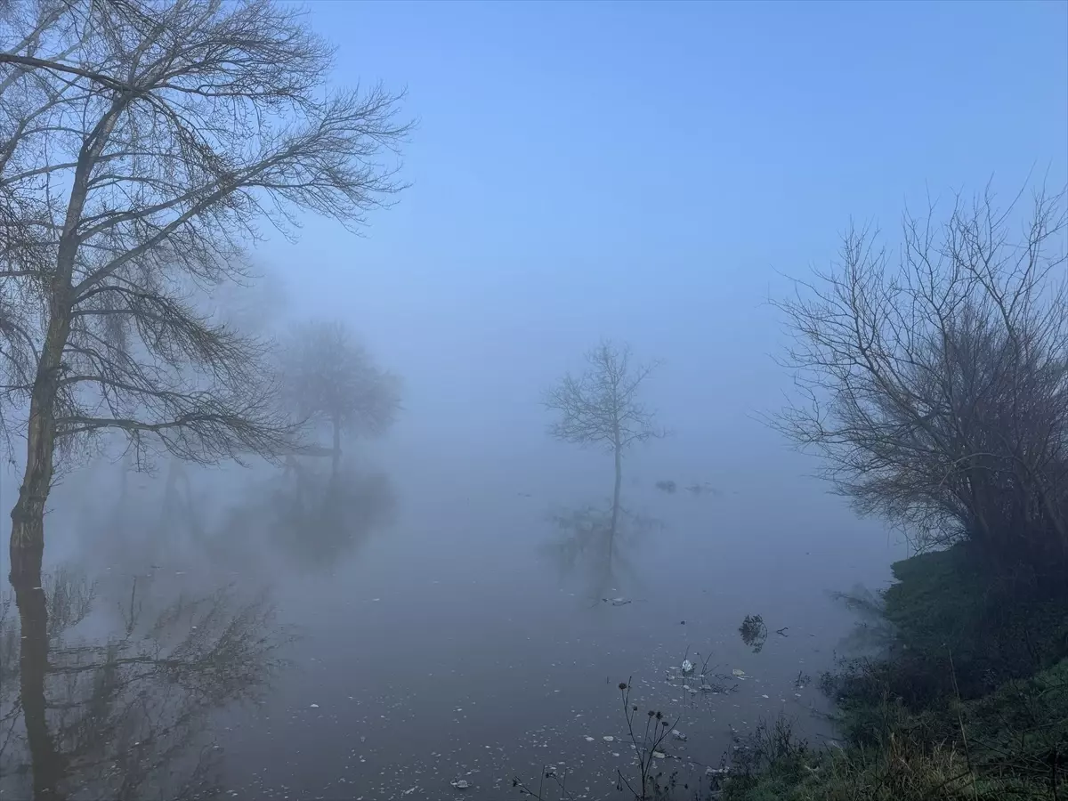 Edirne'de Meriç Nehri'nin debisi iki günde yaklaşık 3 katına çıktı