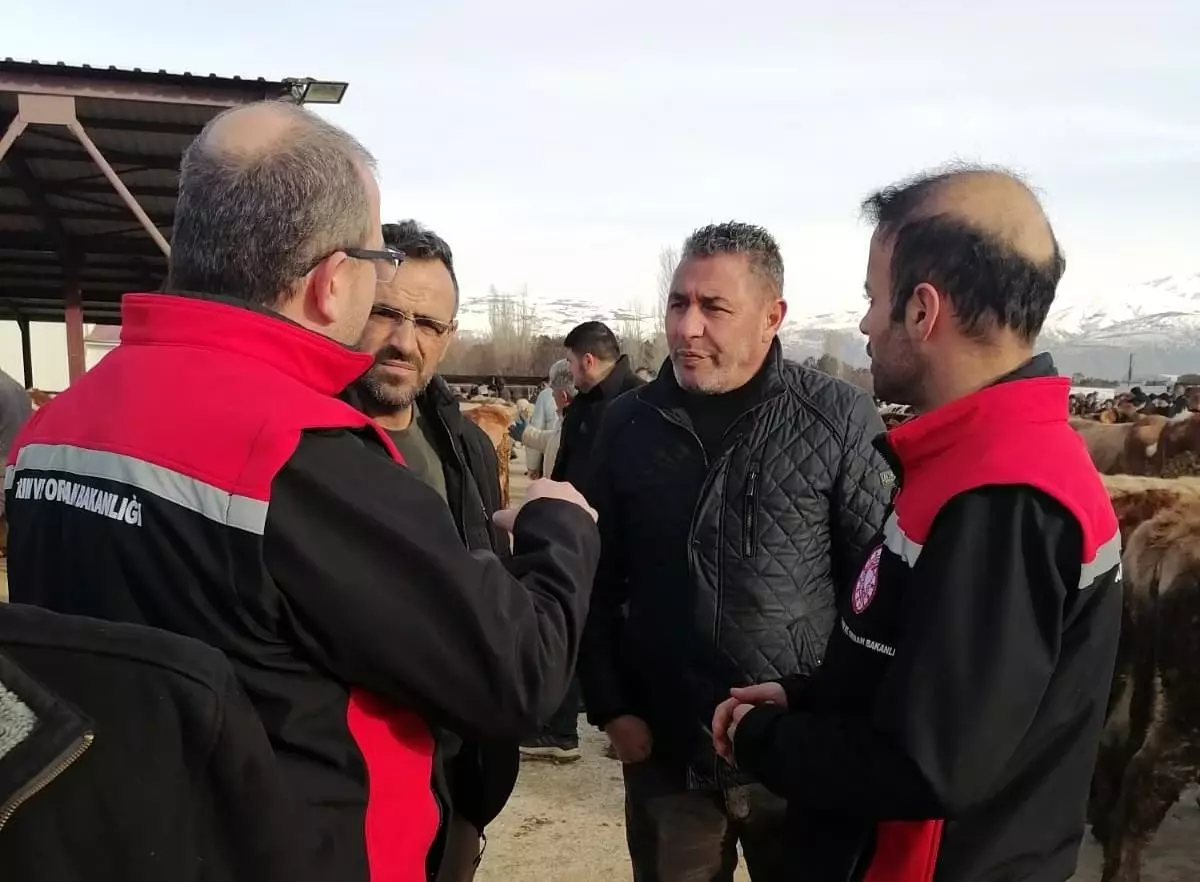 Erzincan'daki kesimhanelerde yağsız kesim uygulaması başladı