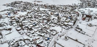 Erzurum ve Kars'ta kar, Ağrı ile Ardahan'da soğuk hava etkili oluyor