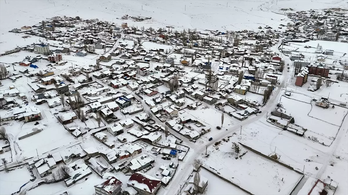 Erzurum ve Kars'ta kar, Ağrı ile Ardahan'da soğuk hava etkili oluyor