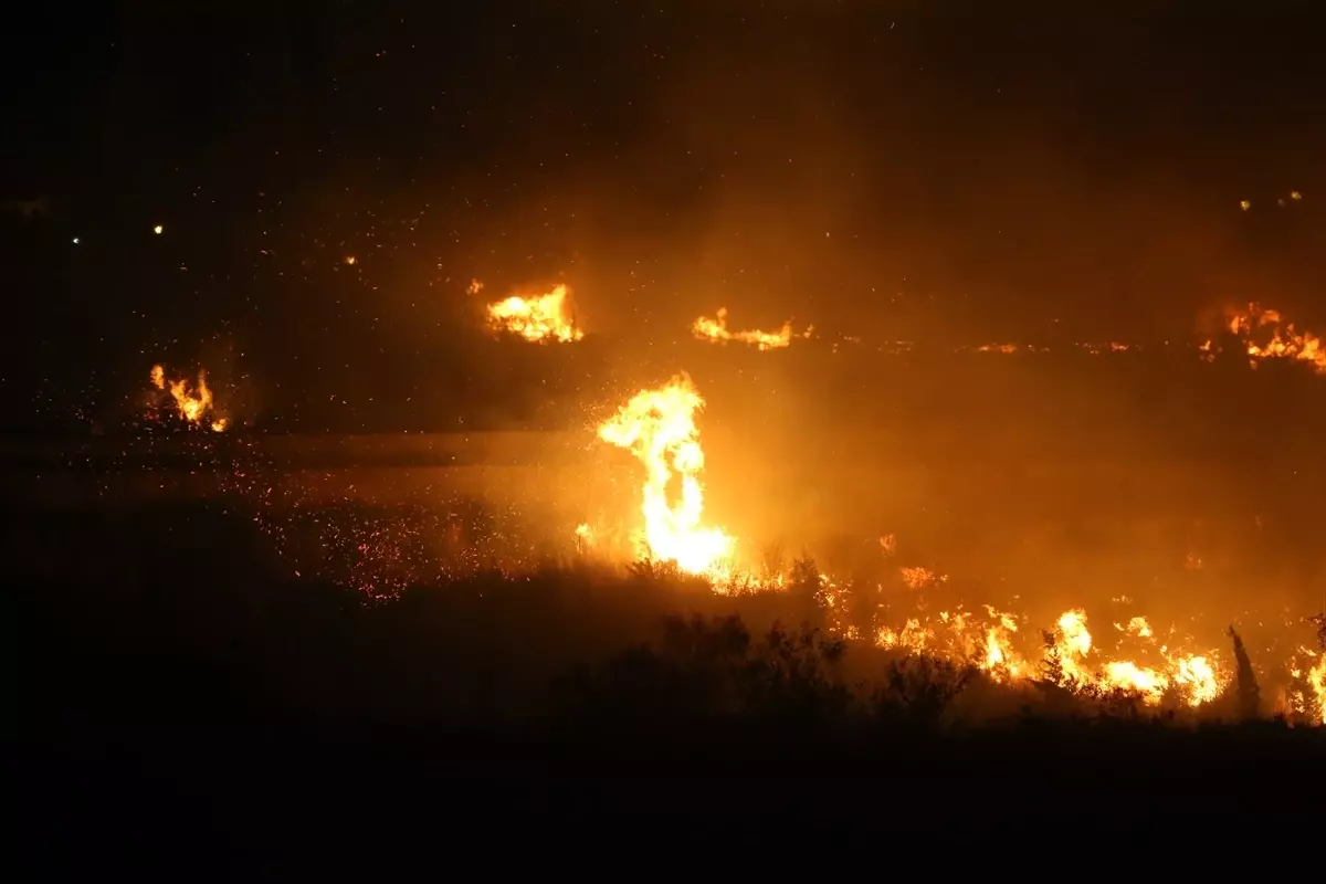 Hatay'da zeytinlik alanda çıkan yangın kontrol altına alındı