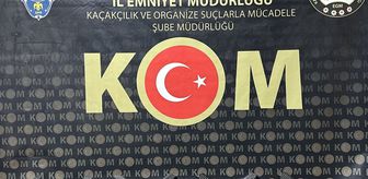 Hatay merkezli suç örgütü operasyonunda yakalanan 12 şüpheli tutuklandı