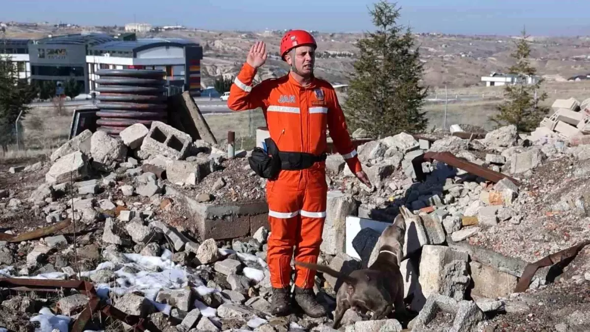 JAKEM'de deprem sonrası umut arayan patiler