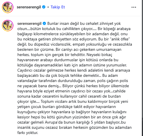 Kamyonetin arkasında ölüme sürüklenen köpeği Seren Serengil sahiplendi
