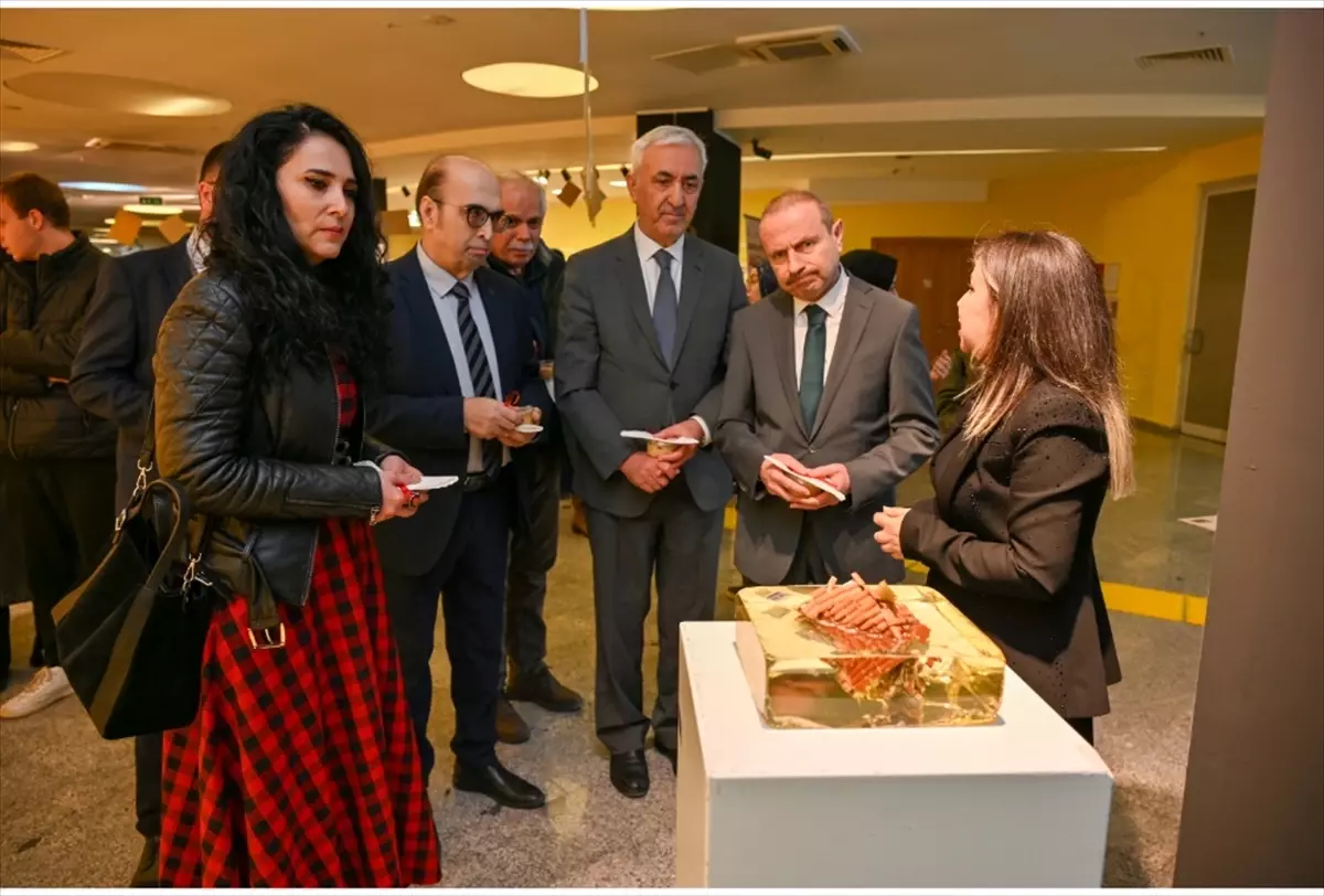 Kastamonu Üniversitesi'nde 'Sarsılmaz Bellek: Antakya' Uluslararası Posta Sanatı Sergisi açıldı