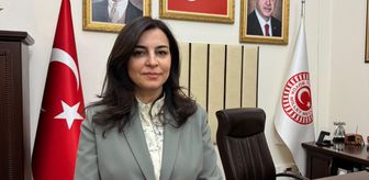 KÜÇÜK YAŞ, BÜYÜK SUÇ - TBMM Suça Sürüklenen Çocuklara İlişkin Araştırma Komisyonu Başkanı Durgut, yol haritalarını AA'ya anlattı Açıklaması