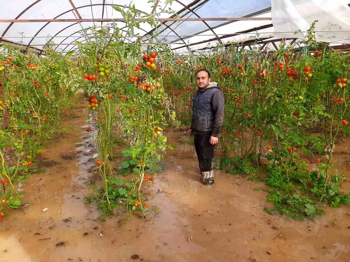 Kumluca'da hortum seraları parçaladı