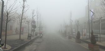 Mardin'de sis etkili oldu