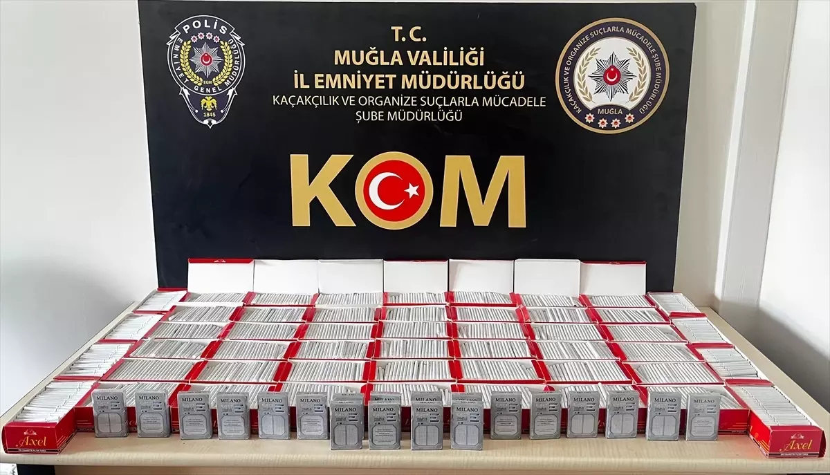 Muğla'da kaçakçılık operasyonunda 3 şüpheli tutuklandı