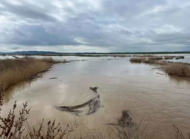 nehir tasti tarimin kritik ovasini su basti 19545817 6572 m