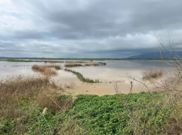 nehir tasti tarimin kritik ovasini su basti 19545817 8329 m