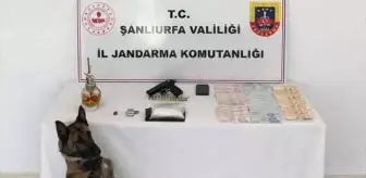 Şanlıurfa'da uyuşturucu operasyonunda 1 şüpheli yakalandı