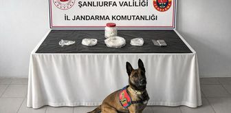 Şanlıurfa'da uyuşturucu operasyonunda 1 şüpheli yakalandı