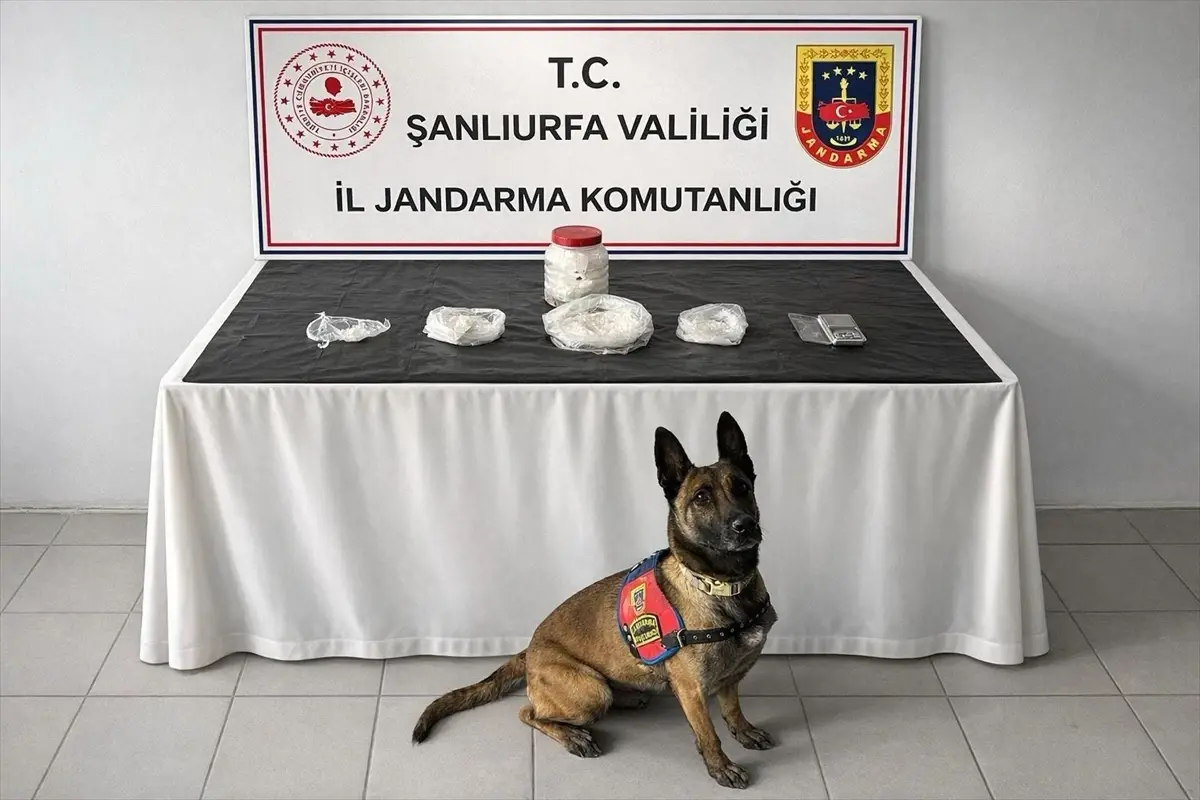 Şanlıurfa'da uyuşturucu operasyonunda 1 şüpheli yakalandı