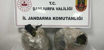 Şanlıurfa'da uyuşturucu operasyonunda 2 şüpheli yakalandı