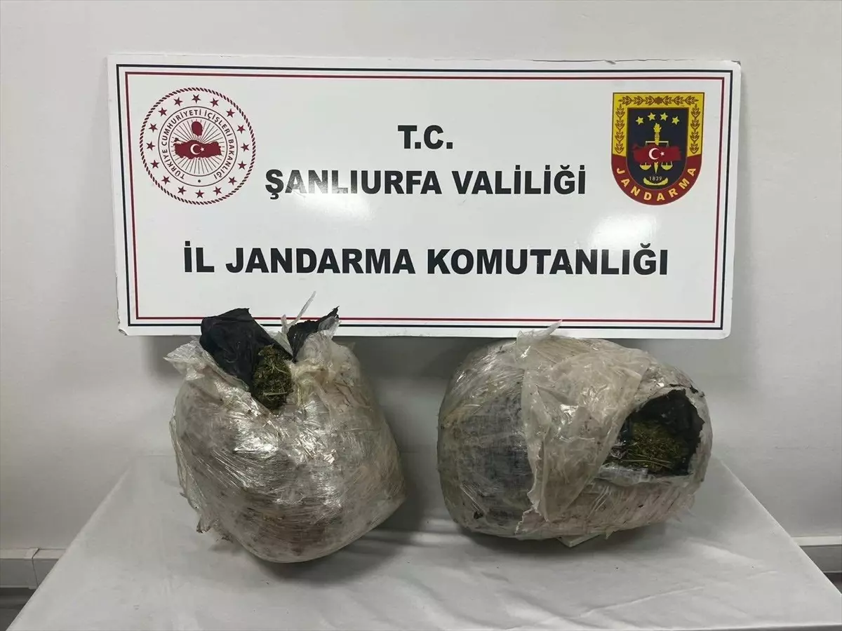 Şanlıurfa'da uyuşturucu operasyonunda 2 şüpheli yakalandı
