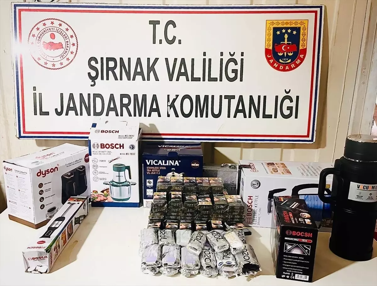 Şırnak'ta kaçakçılık operasyonlarında 10 zanlı tutuklandı