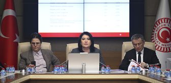 TBMM Dilekçe ile İnsan Haklarını İnceleme Karma Komisyonu toplandı