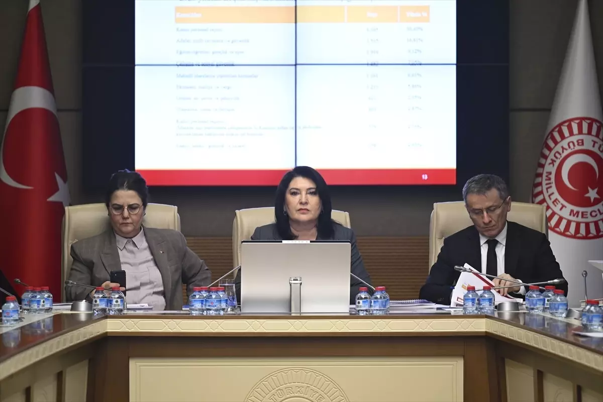 TBMM Dilekçe ile İnsan Haklarını İnceleme Karma Komisyonu toplandı