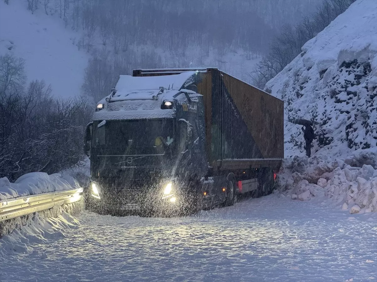 Tunceli'de kar yağışı nedeniyle yolda kalan tır ulaşımı aksattı
