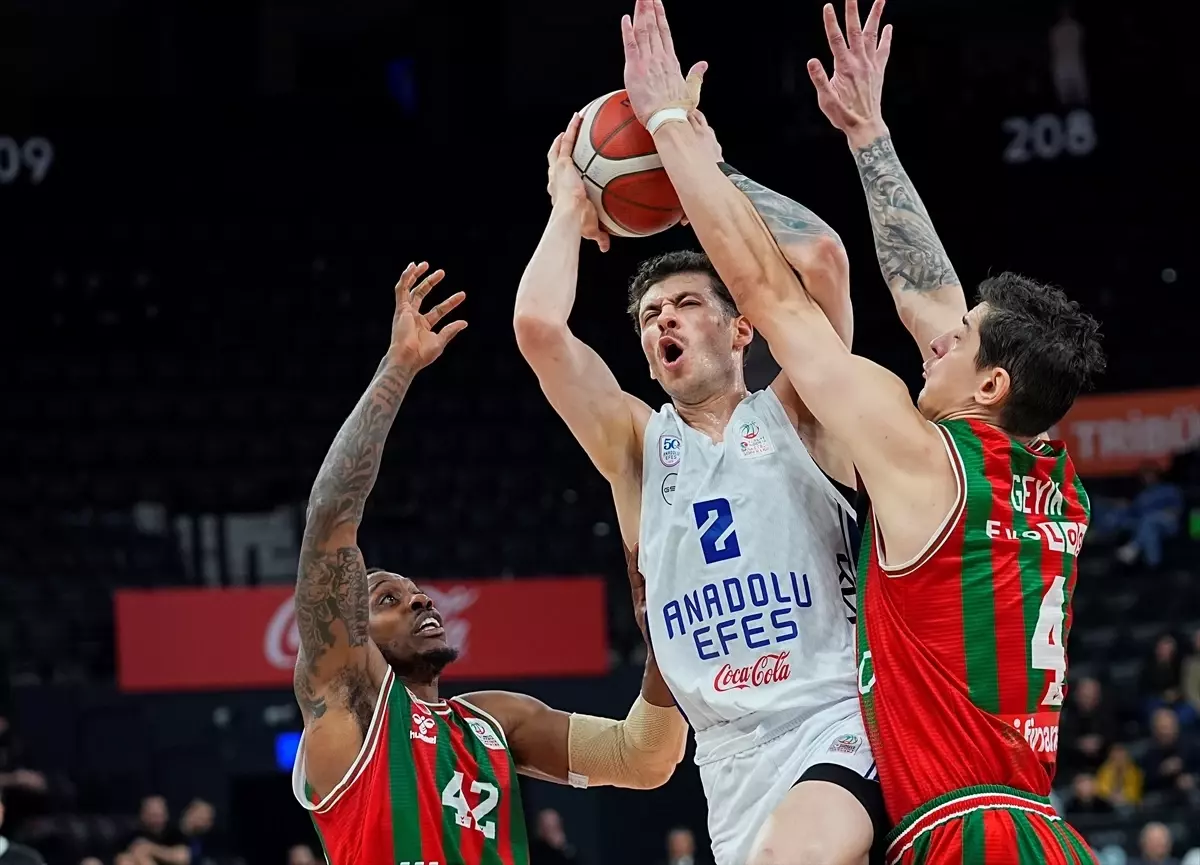 Türkiye Sigorta Basketbol Süper Ligi