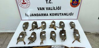 Van'da kaçak avlanan kişiye 81 bin 441 lira ceza kesildi