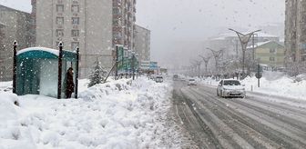 Van, Hakkari, Bitlis ve Muş'ta 453 yerleşim yerine ulaşım sağlanamıyor