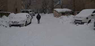 Van ve Muş'ta 68 yerleşim yerine ulaşım sağlanamıyor