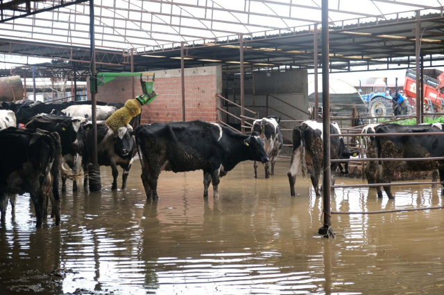 5 of our provinces experienced a nightmare! Bridges collapsed, everywhere was flooded