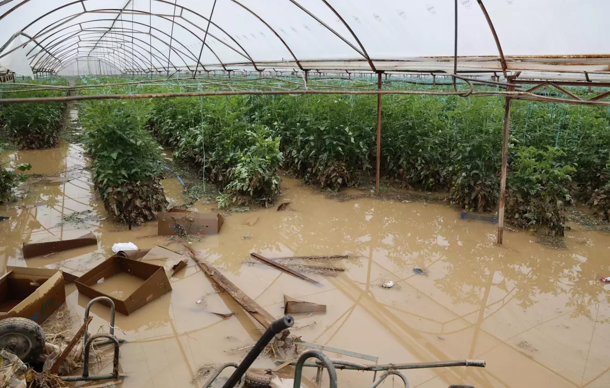 Geçen haftaki yağış ve hortumun Antalya'ya faturası 300 milyon TL