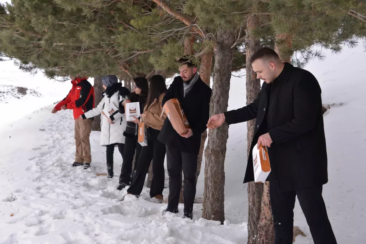 Erzurum'da Palandöken Dağı'nda kuşlar için yem bırakıldı