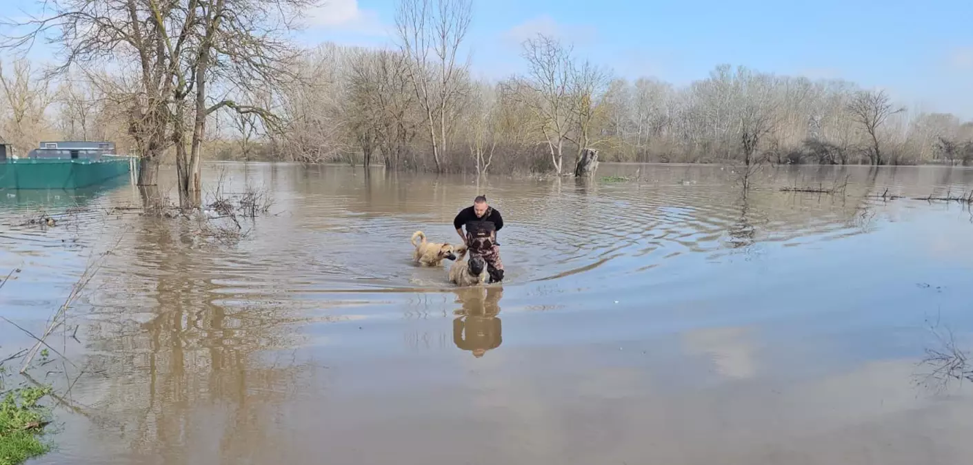 Meriç Nehri'nde su seviyesi arttı; DSİ 'turuncu alarm' uyarısında bulundu