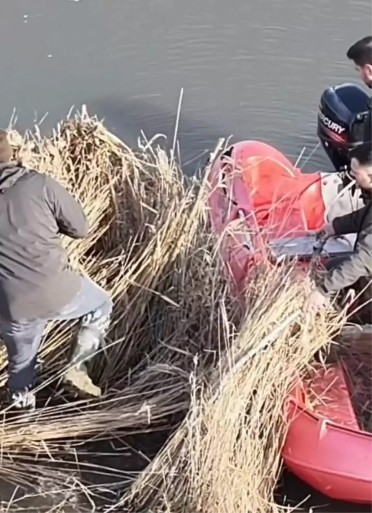 Sinop'ta yasa dışı avcılık operasyonu; 5 güme imha edildi