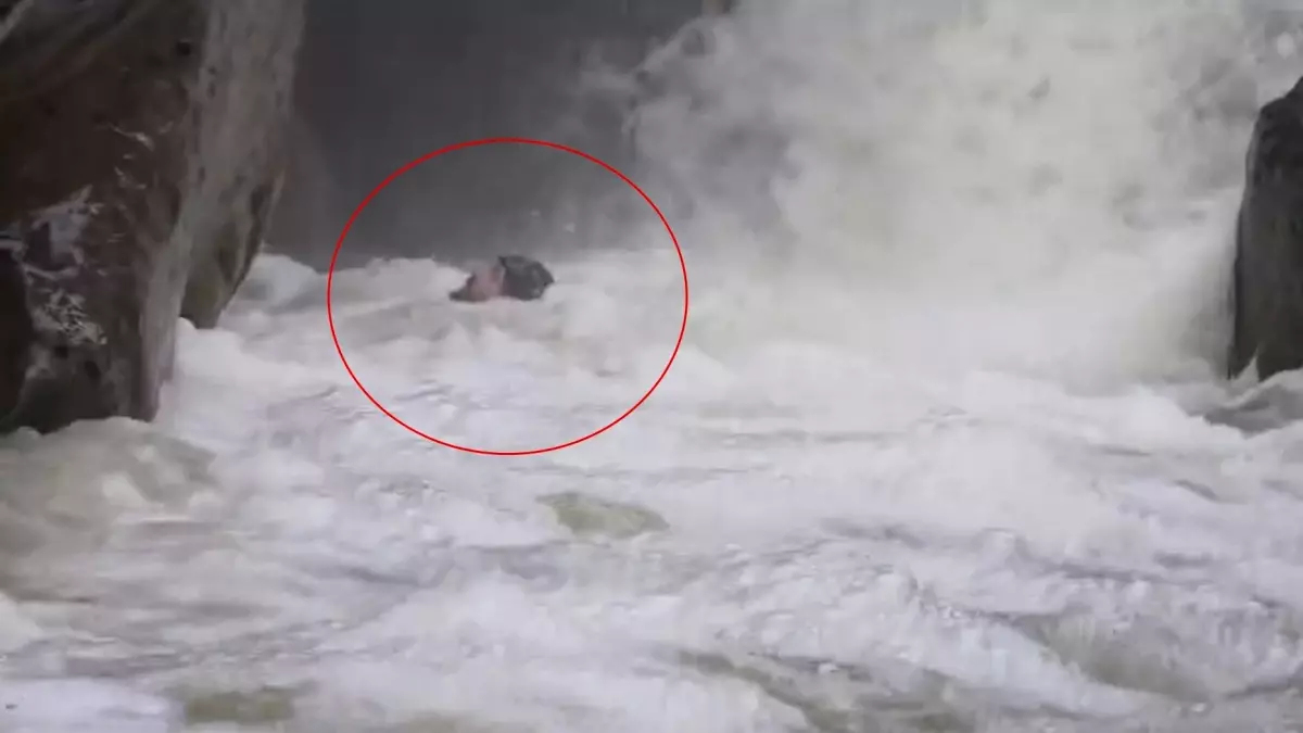 Dağcılar, yağışlar sonrası su seviyesi yükselen dereden geçerken zor anlar yaşadı