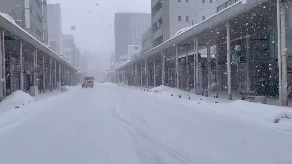 Japonya'da yoğun kar yağışı nedeniyle hayatını kaybedenlerin sayısı 45'e yükseldi