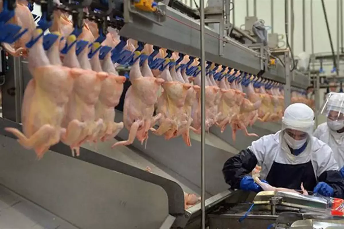 Ramazan öncesi zam kararı bakanlığı harekete geçirdi! Tavuk ürünleri ihracatı durdurulacak