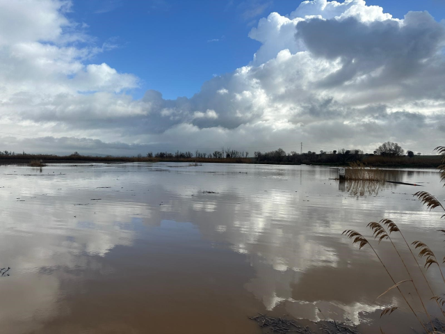 Наводнение в Ушаке: 35 рабочих мест затоплено