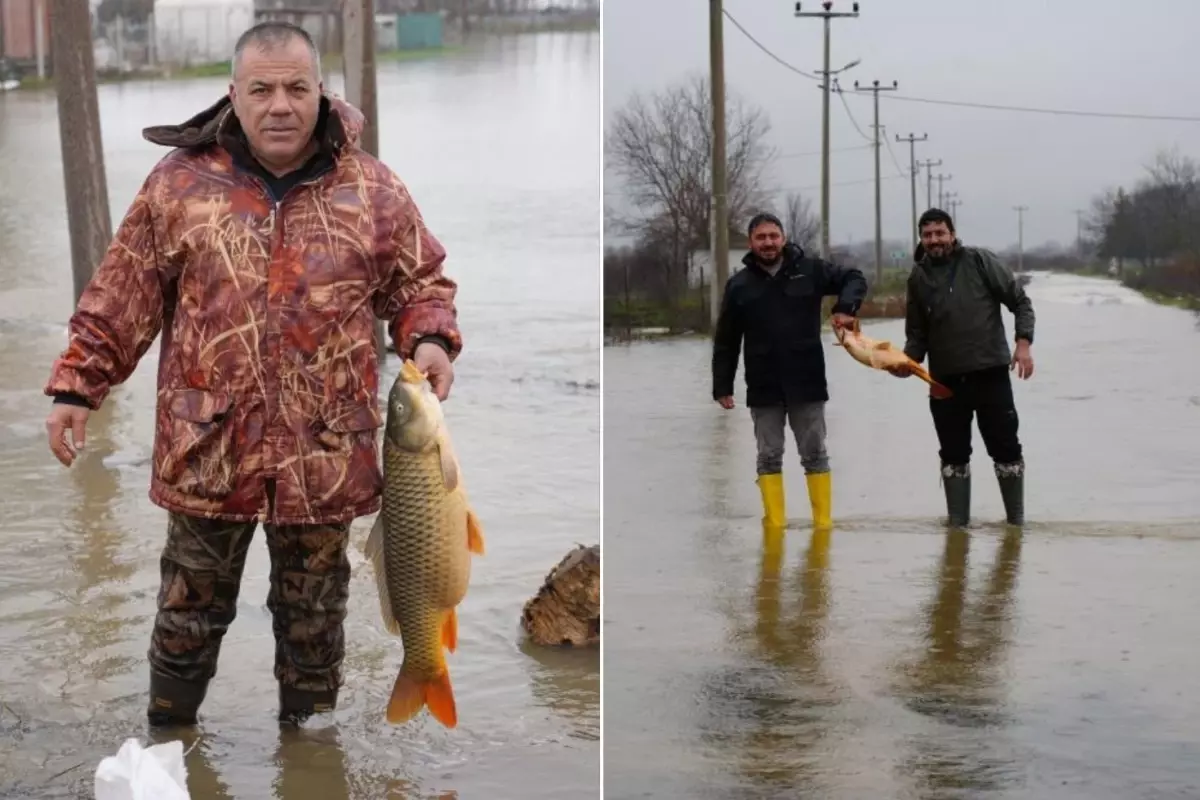 Tarlanın ortasından çıktı! Tartıda tam 7 kilo geldi